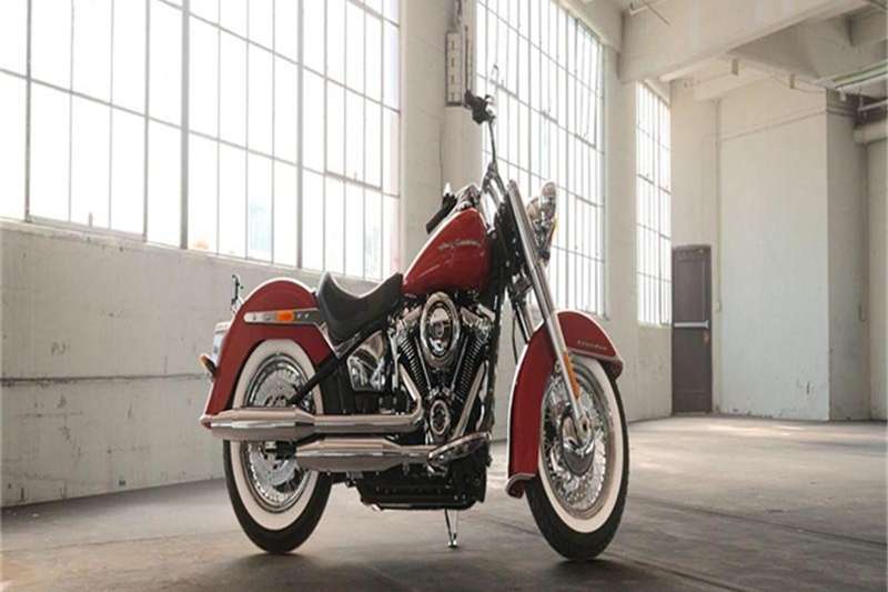  2019  Harley  Davidson  Softail DELUXE Motorcycles for sale 