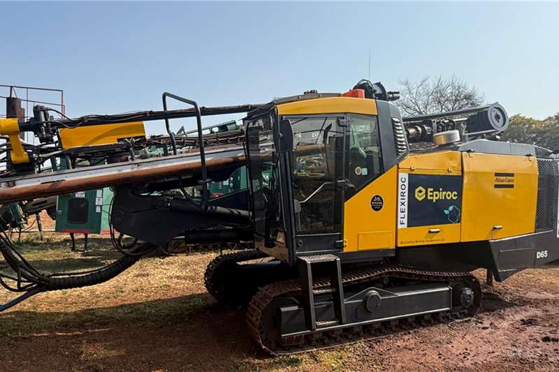   D65