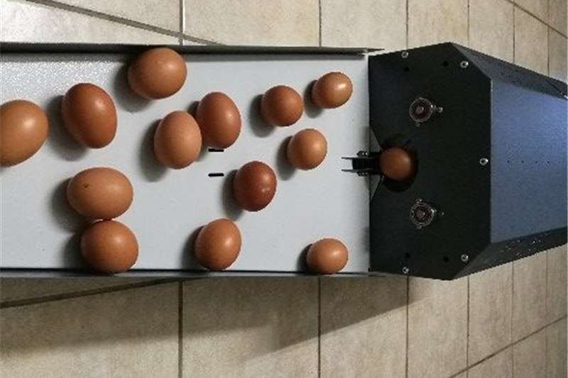 Egg Cleaning Machine Egg incubator for sale in Gauteng | R 24 500 on Agrimag