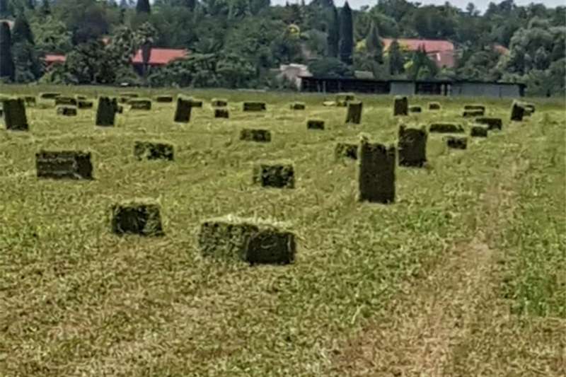 Come faccio a sapere se sono pronto per iniziare ad uscire di nuovo