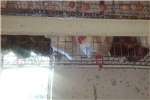 Layer Cages For Sale Poultry Livestock For Sale In Gauteng R 350