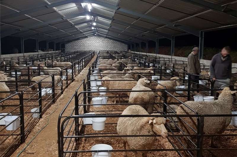2019 Cattle and sheep handling equipment Farming Machinery for sale in